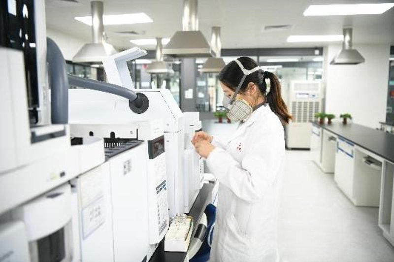 职场新风向标：2023年求职指导趋势解析