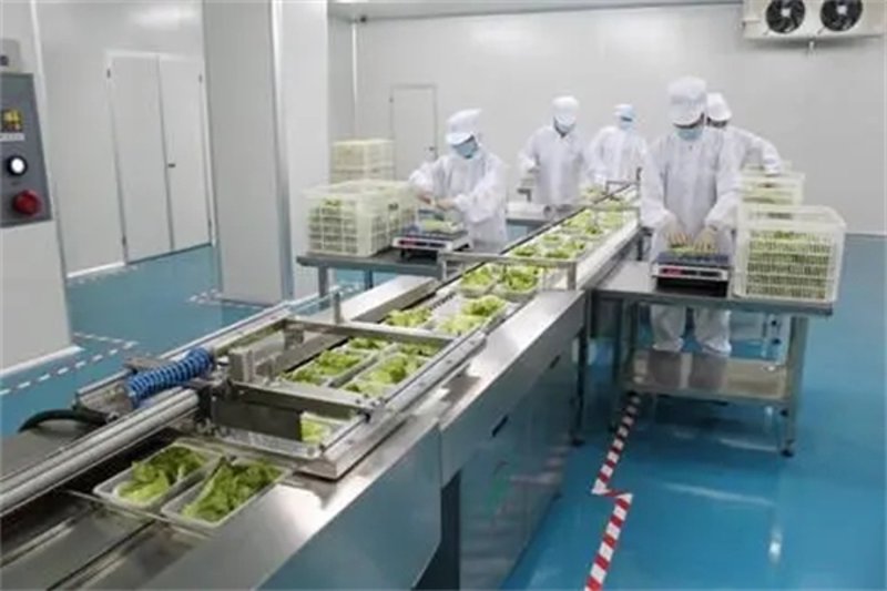职场升级秘籍:如何进行职业规划