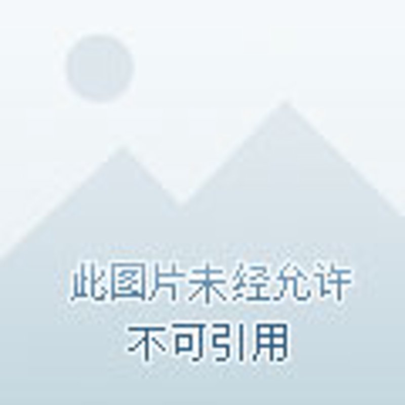 求职准备新攻略:专业面试辅导解读